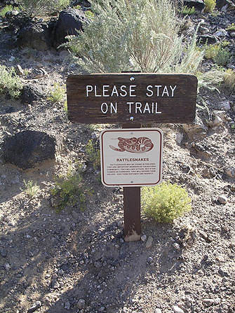 Rattlesnake
              sign